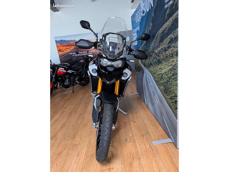 TRIUMPH TIGER 900 RALLY PRO